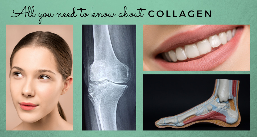 all-you-need-to-know-about-collagen