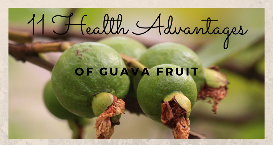 health-advantages-of-guava-fruit