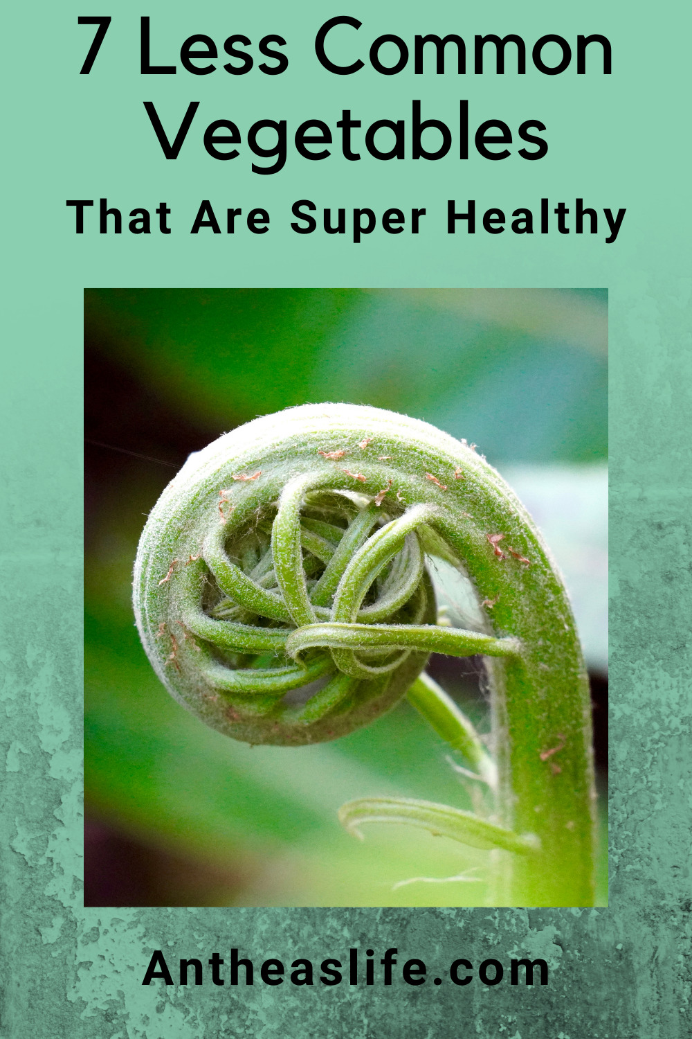less-common-vegetables-that-are-super-healthy