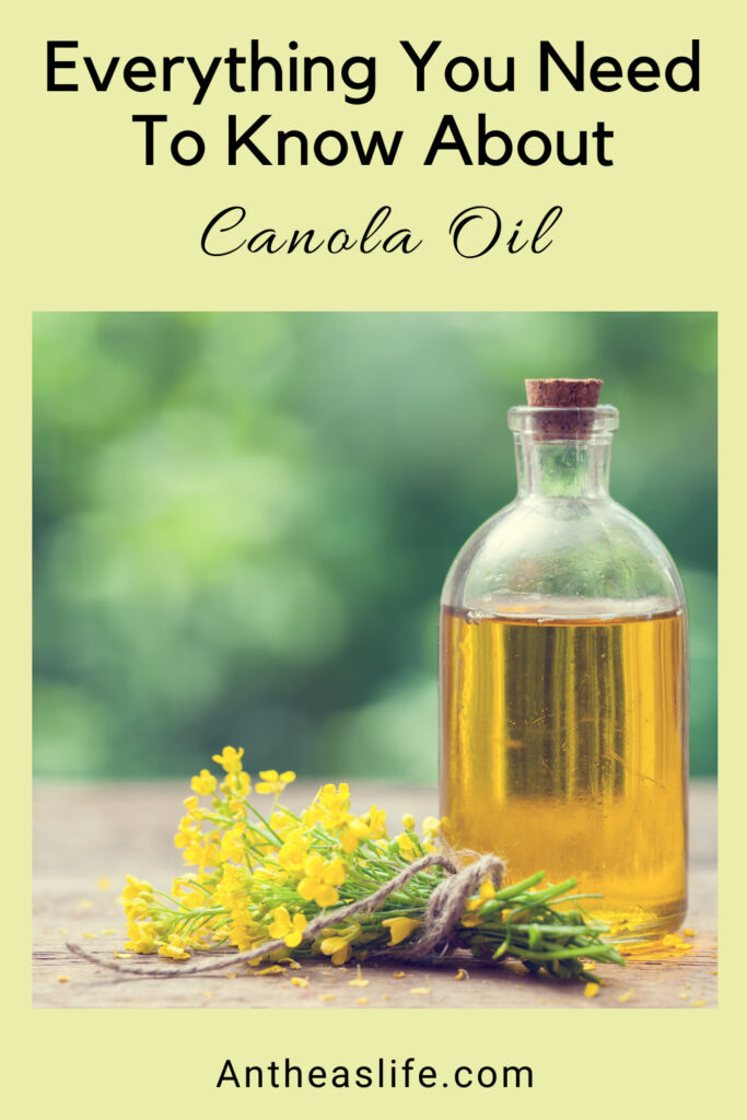 everything-you-need-to-know-about-canola-oil-benefits