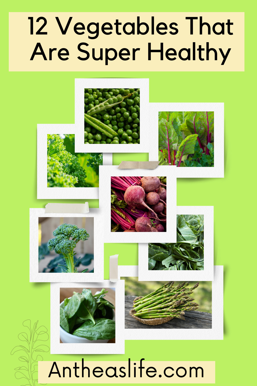 vegetablese that are super healthy