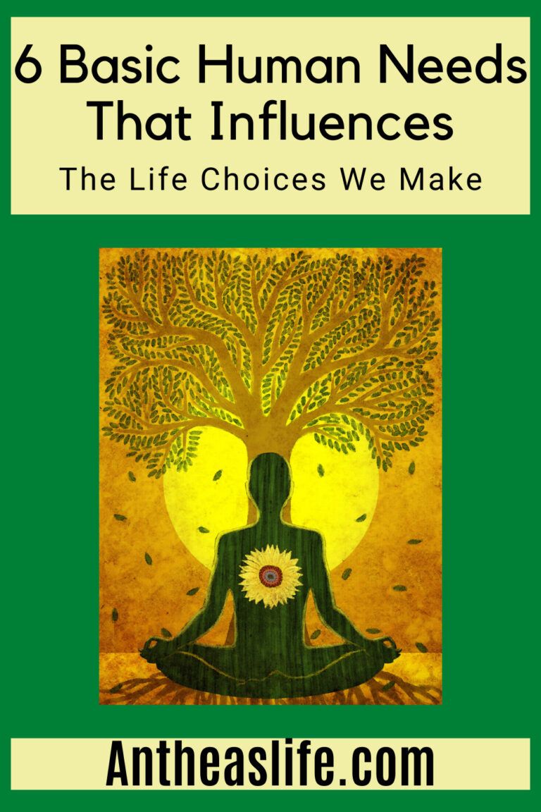 6 Basic Human Needs That Influences The Life Choices We Make
