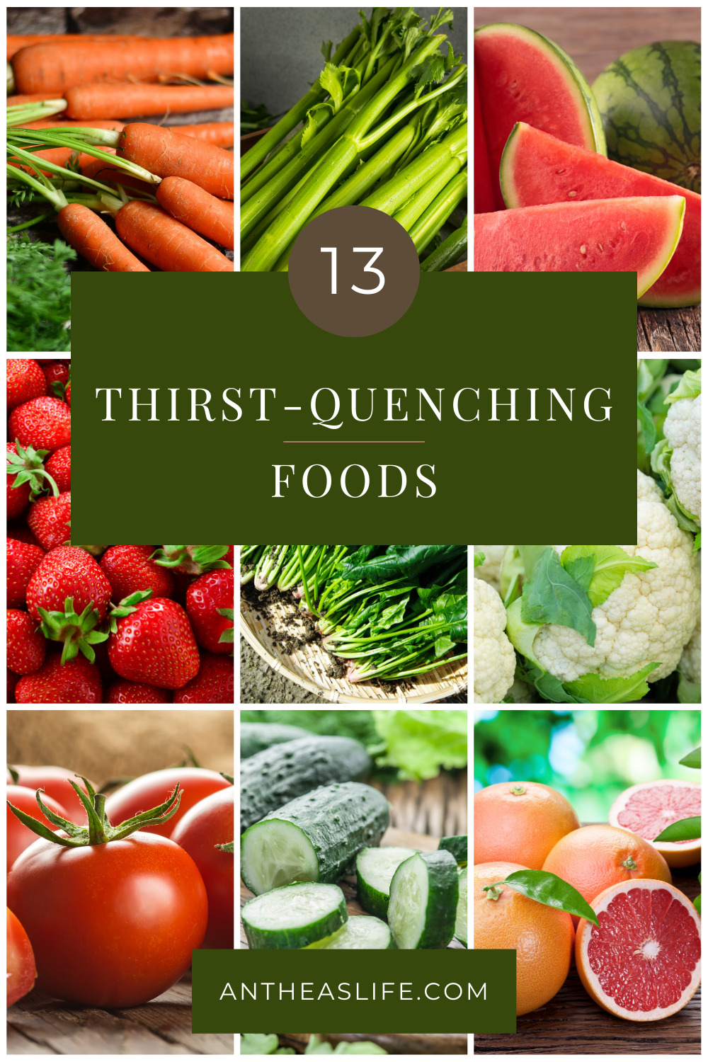 thirst-quenching foods