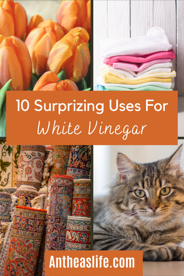 10-surprizing-uses-for-white-vinegar